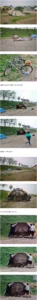 강풍 속 캠핑 시도한 중학생들