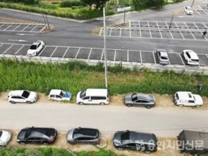 한국의 특이한 주차 문화