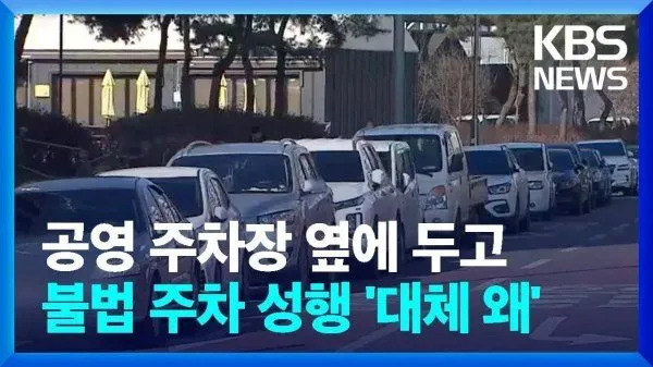 한국의 특이한 주차 문화