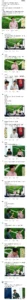 안정환, 어제 틱톡 라이브 시청 후 상세 정리본