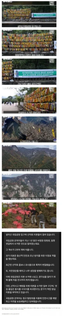 설악산 국립공원 입구에 수천개의 리본