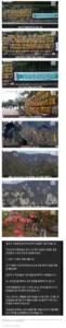설악산 국립공원 입구에 수천개의 리본