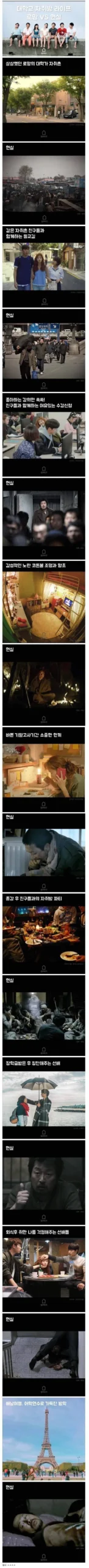 대학교 자취방 라이프 로망 vs 현실