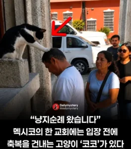 냥지순례 왔습니다