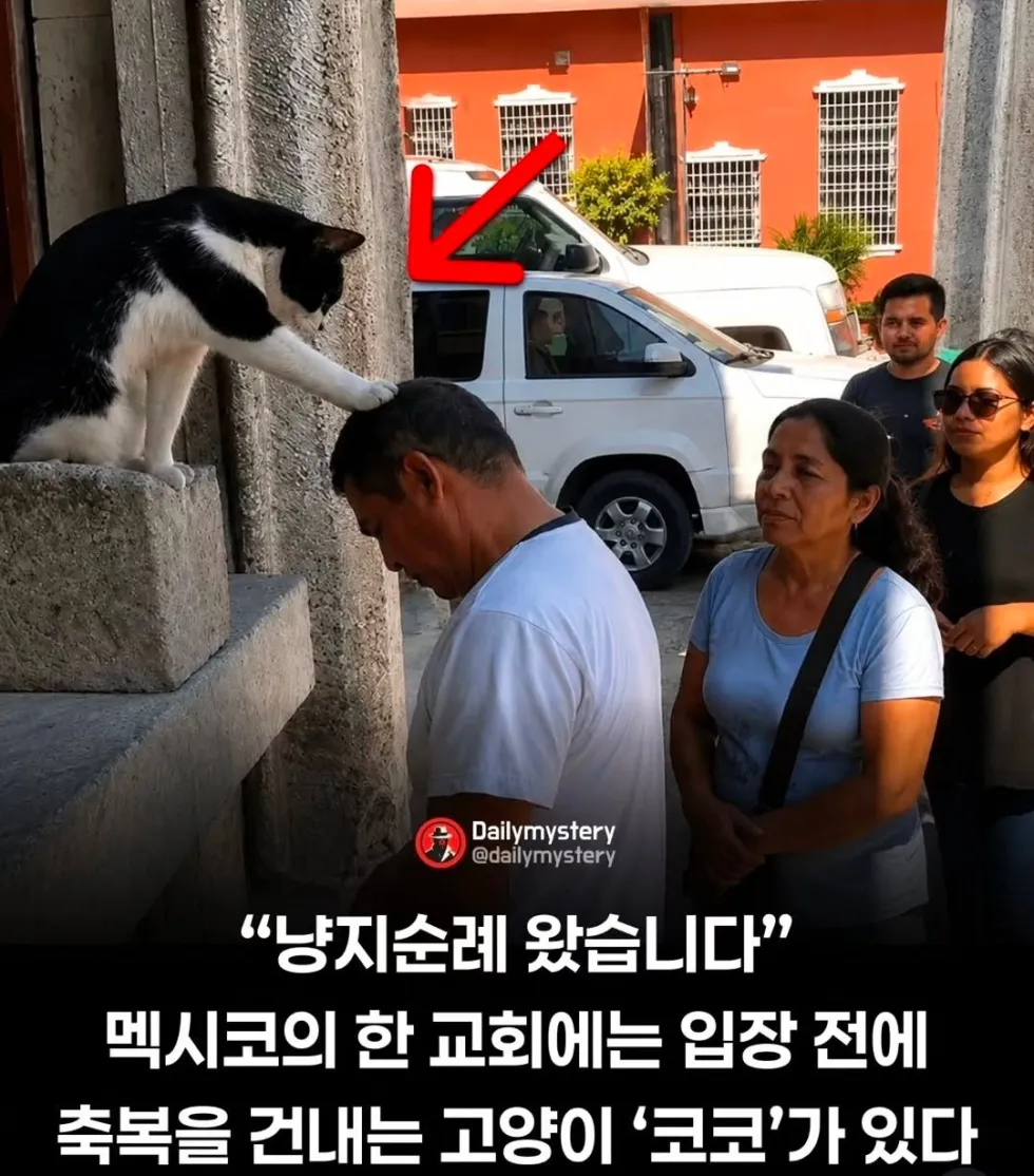 냥지순례 왔습니다