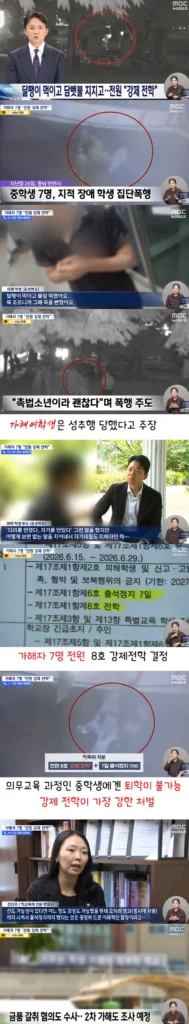 달팽이 먹이고 담뱃불 지진 촉법 근황