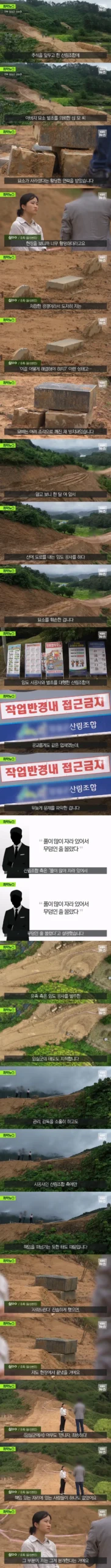 아버지 묘, 사라지다