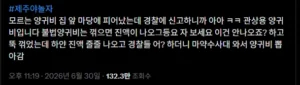 경찰 "관상용 양귀비입니다ㅋㅋ"