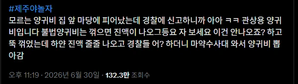 경찰 "관상용 양귀비입니다ㅋㅋ"