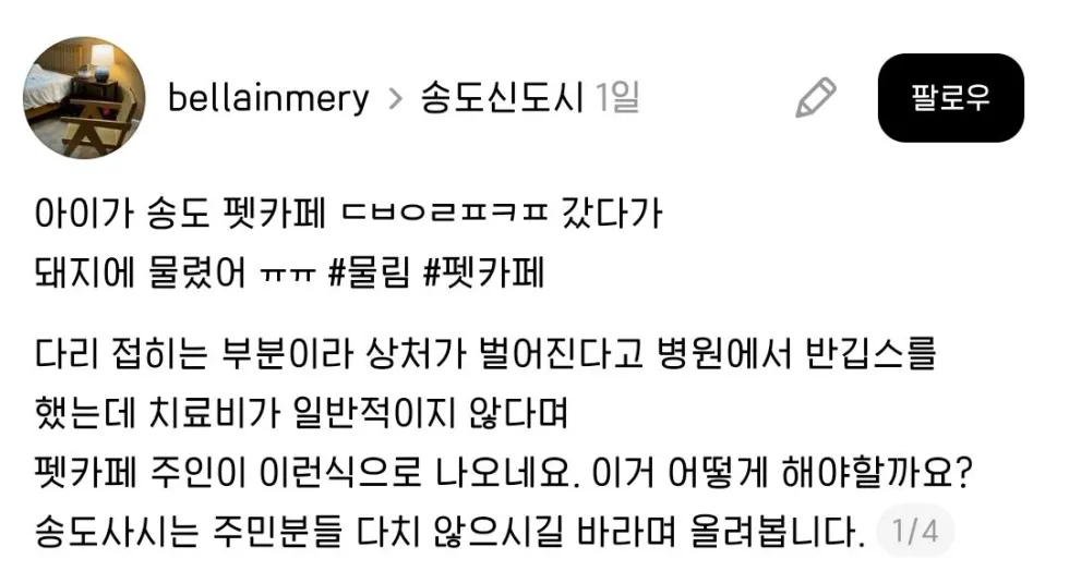 돼지물림사고 송도 카페 관련