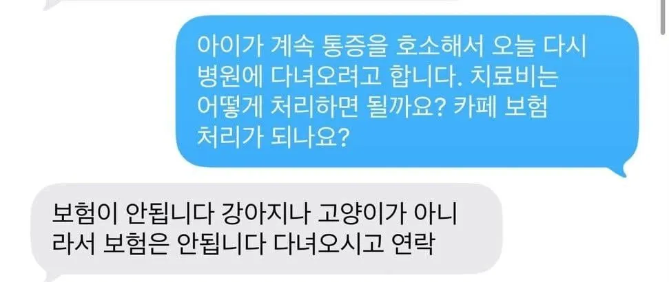 돼지물림사고 송도 카페 관련