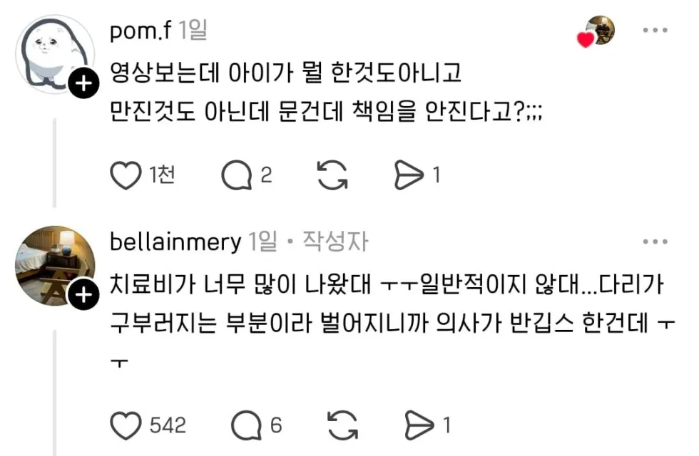 돼지물림사고 송도 카페 관련