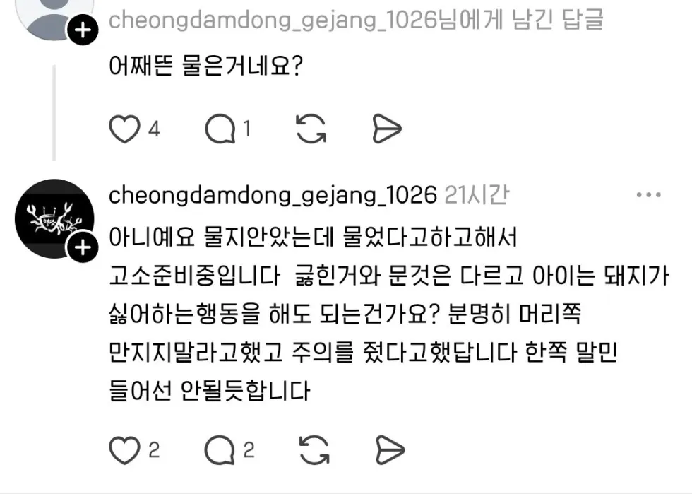 돼지물림사고 송도 카페 관련