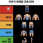 키우기 어려운 근육 티어