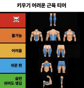 키우기 어려운 근육 티어