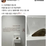 초등학생이 박물관에 돌을 기증한 사연