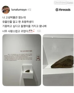 초등학생이 박물관에 돌을 기증한 사연