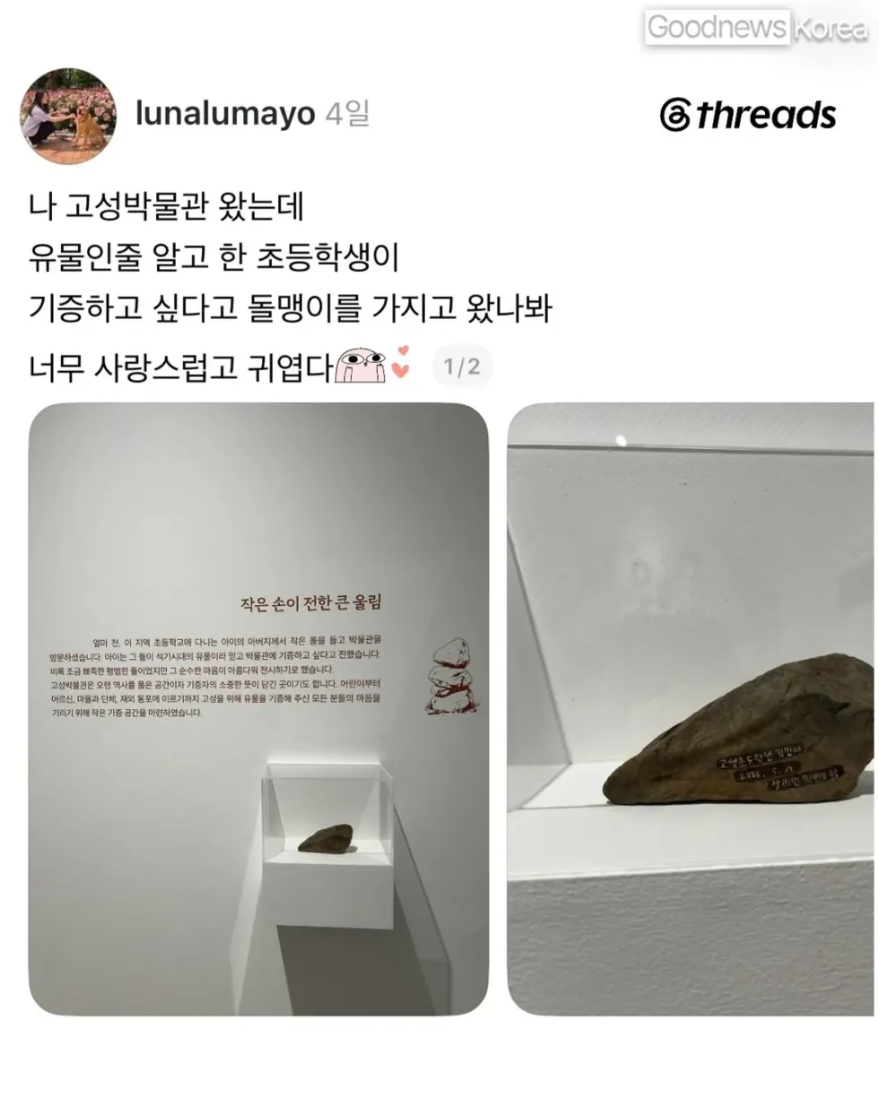 초등학생이 박물관에 돌을 기증한 사연