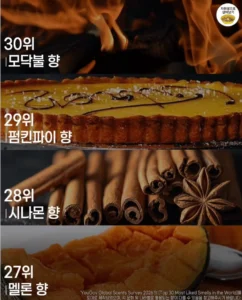 사람들이 가장 좋아하는 향 순위