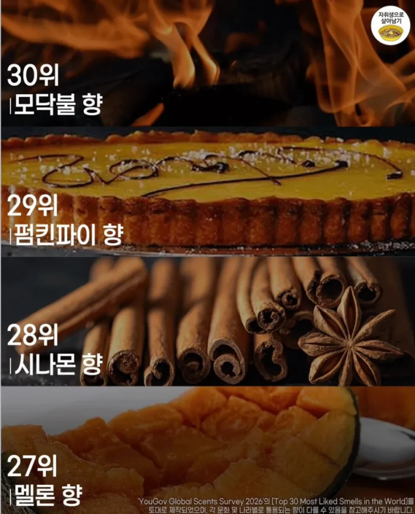 사람들이 가장 좋아하는 향 순위