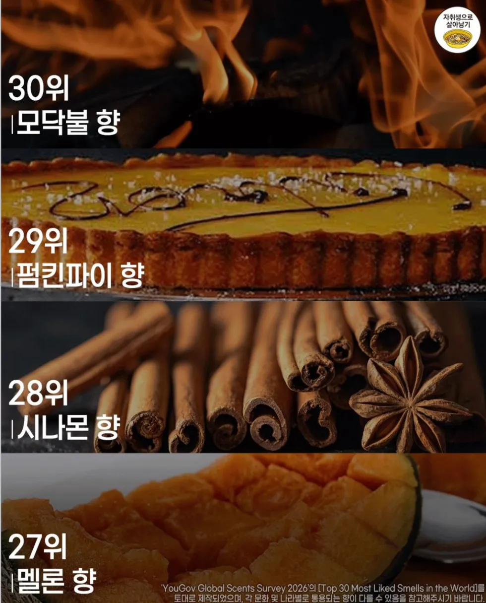 사람들이 가장 좋아하는 향 순위
