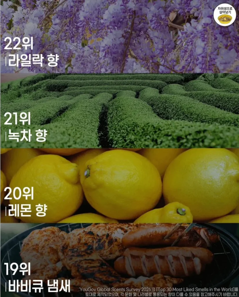 사람들이 가장 좋아하는 향 순위
