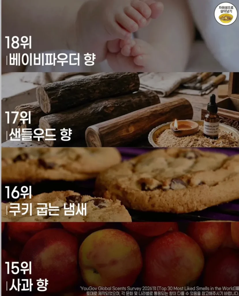 사람들이 가장 좋아하는 향 순위