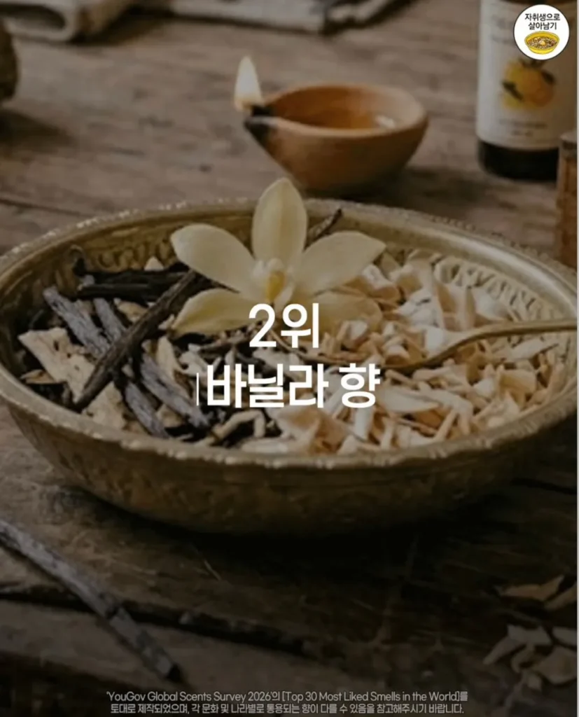 사람들이 가장 좋아하는 향 순위