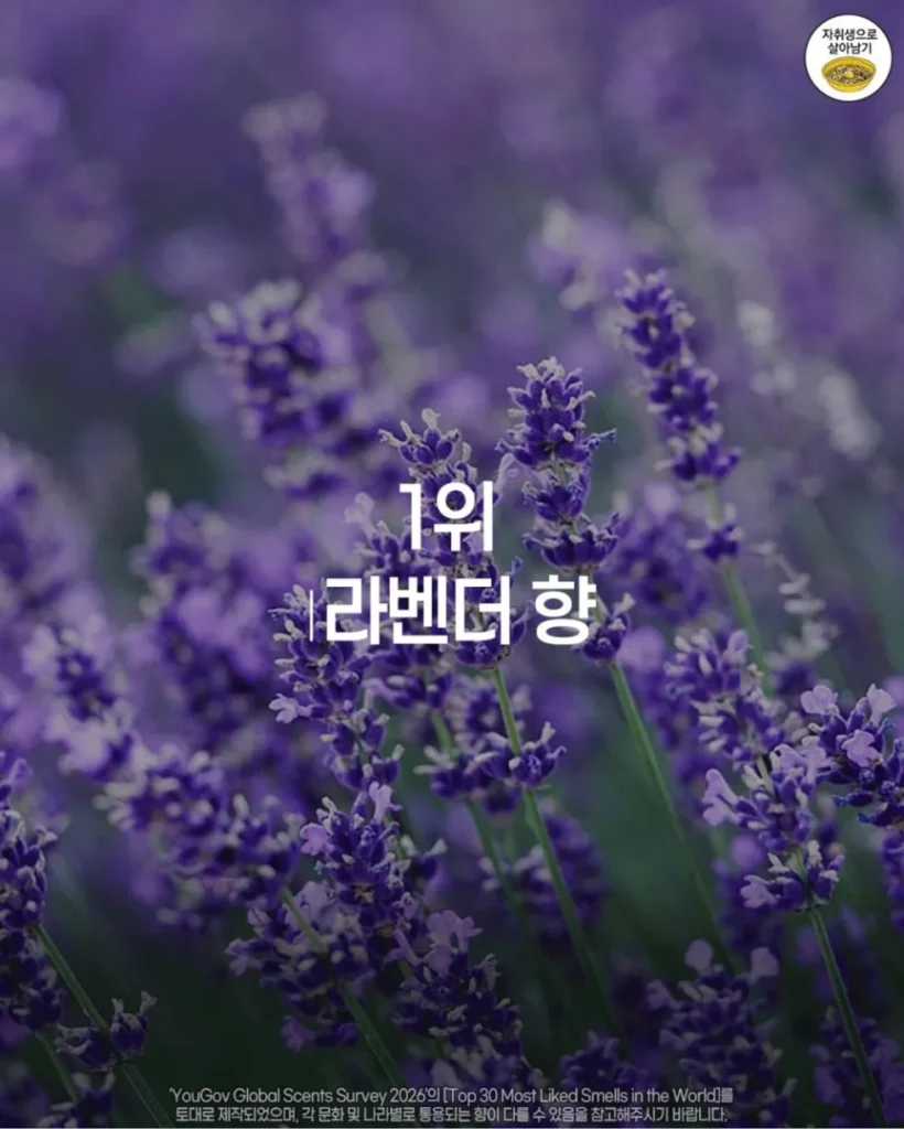 사람들이 가장 좋아하는 향 순위