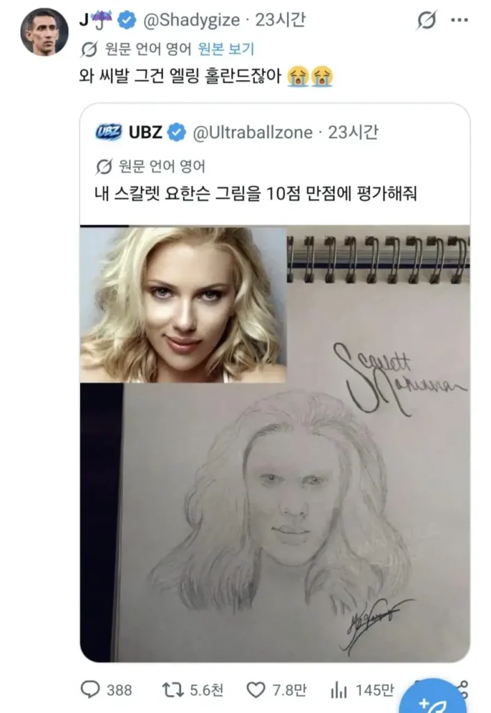 스칼렛 요한슨 그림, 외국인의 평가