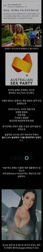 호주의 정당, 'ㅅㅅ당'에 대하여