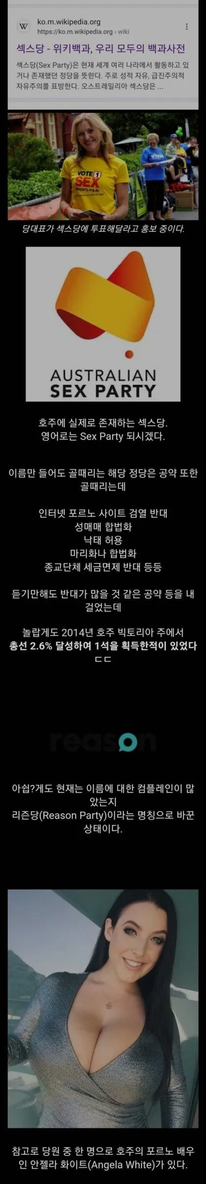 호주의 정당, 'ㅅㅅ당'에 대하여