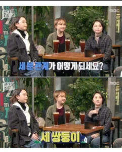 현실판 이브이 한국의 세 쌍둥이