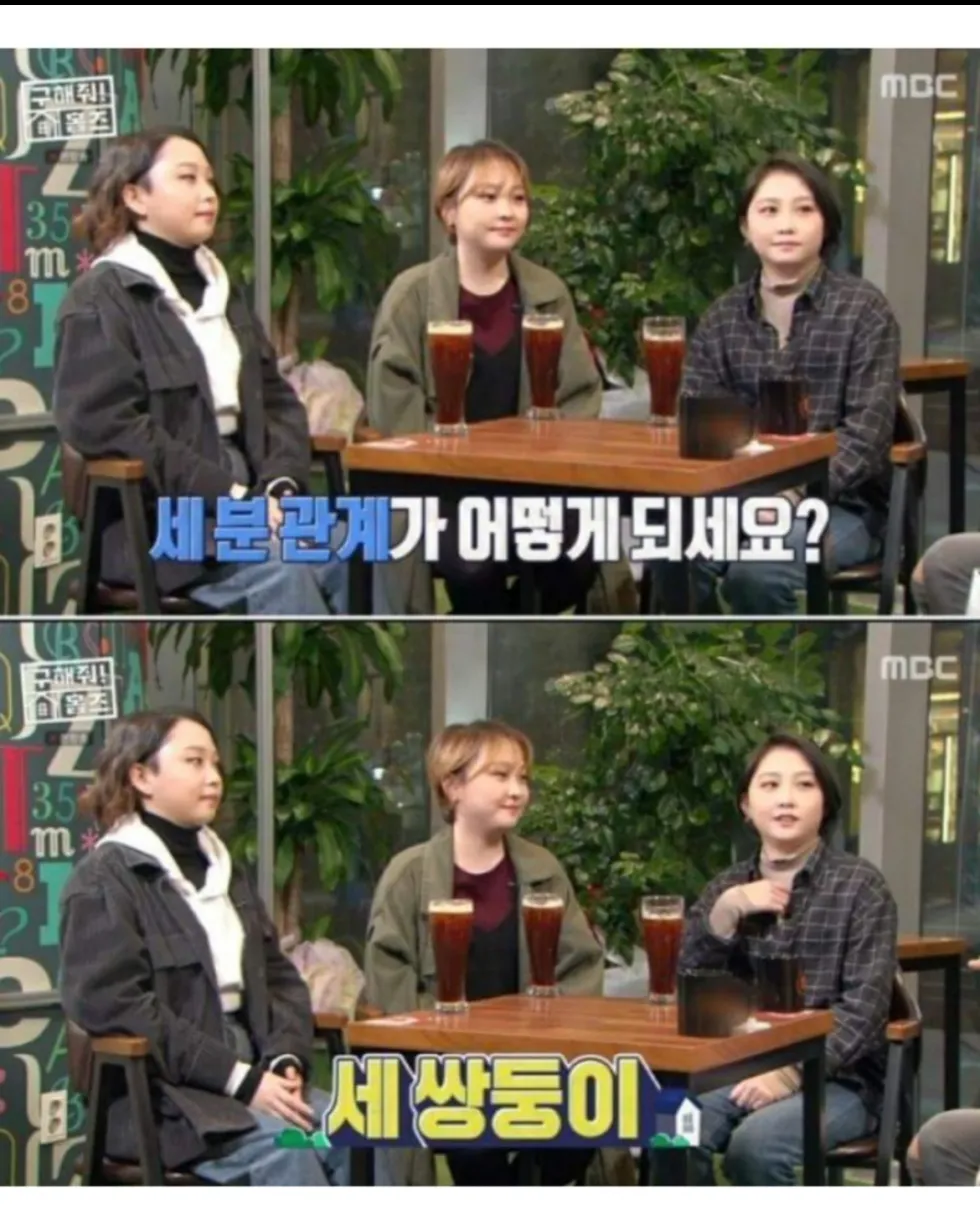 현실판 이브이 한국의 세 쌍둥이