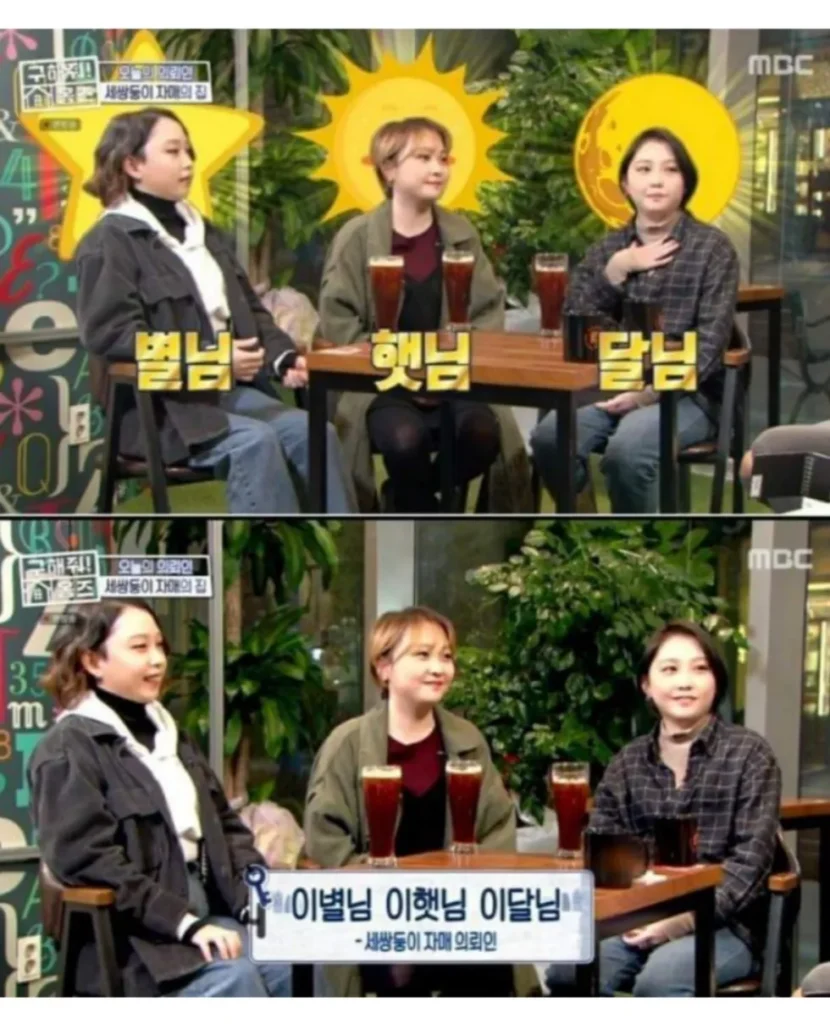 현실판 이브이 한국의 세 쌍둥이