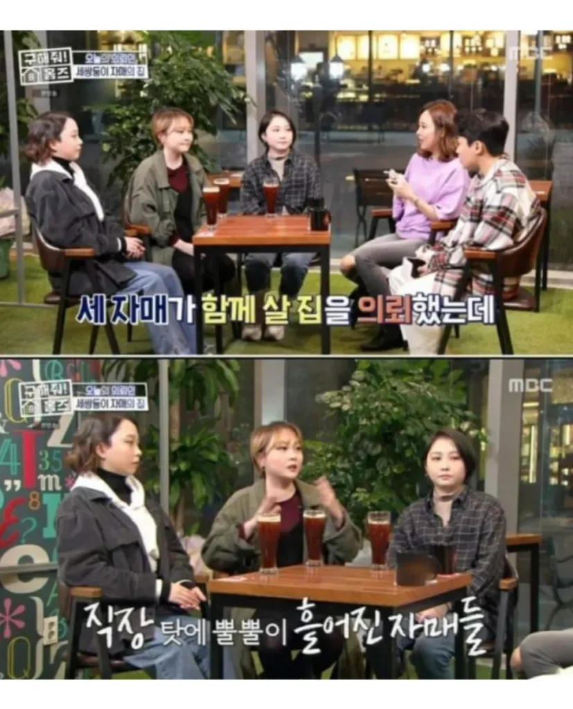 현실판 이브이 한국의 세 쌍둥이