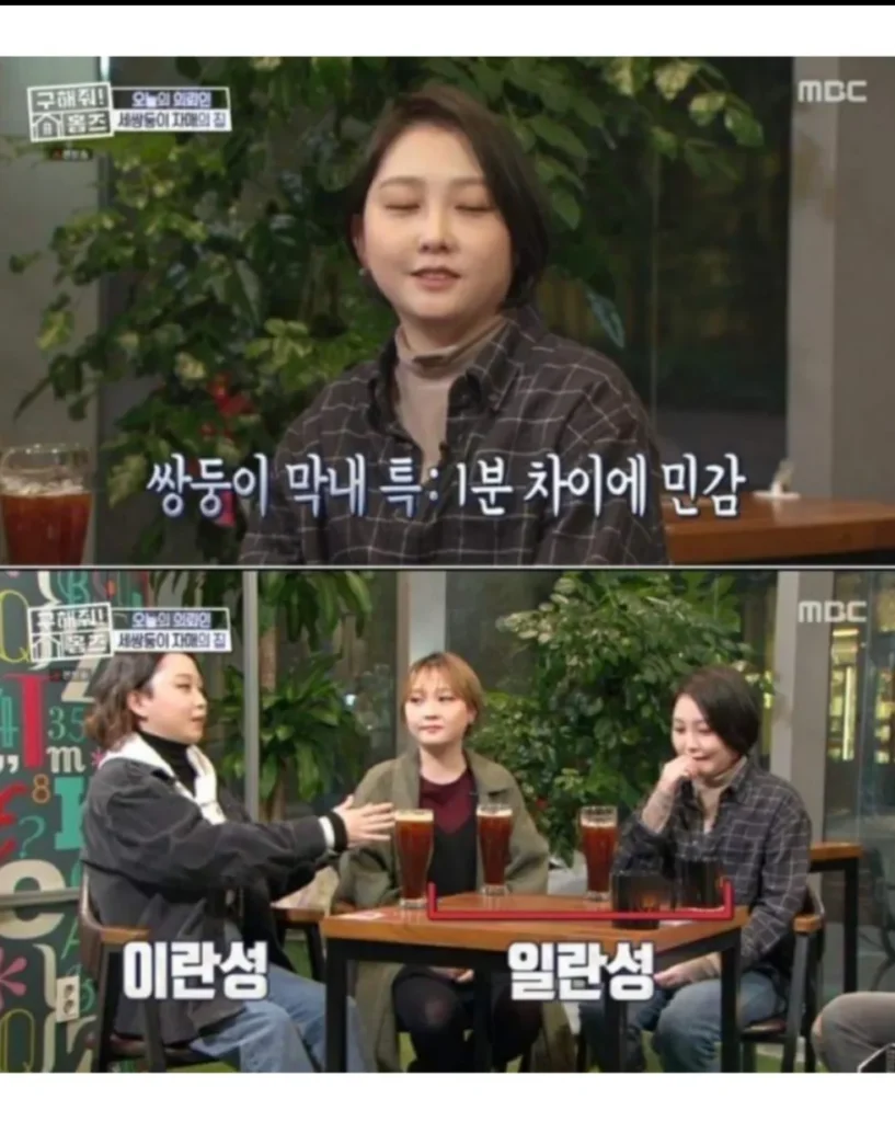 현실판 이브이 한국의 세 쌍둥이