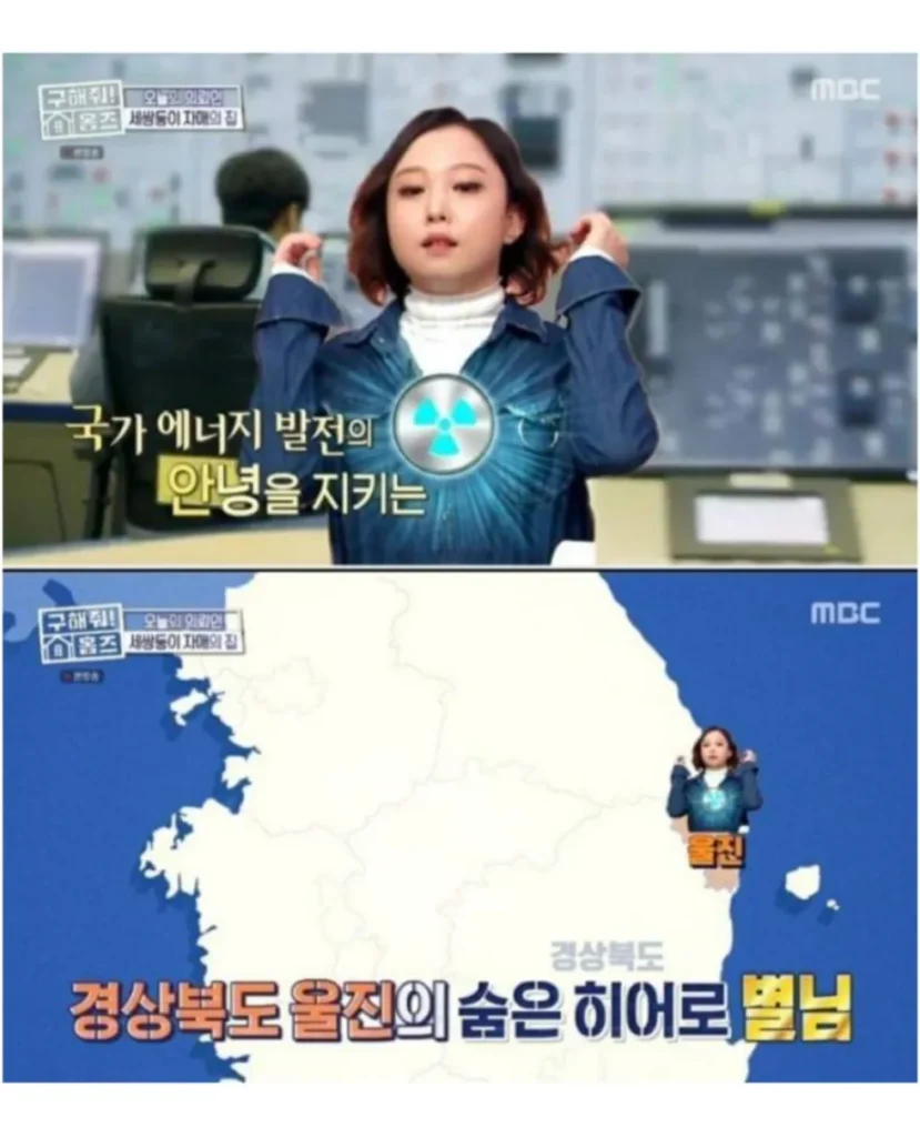 현실판 이브이 한국의 세 쌍둥이