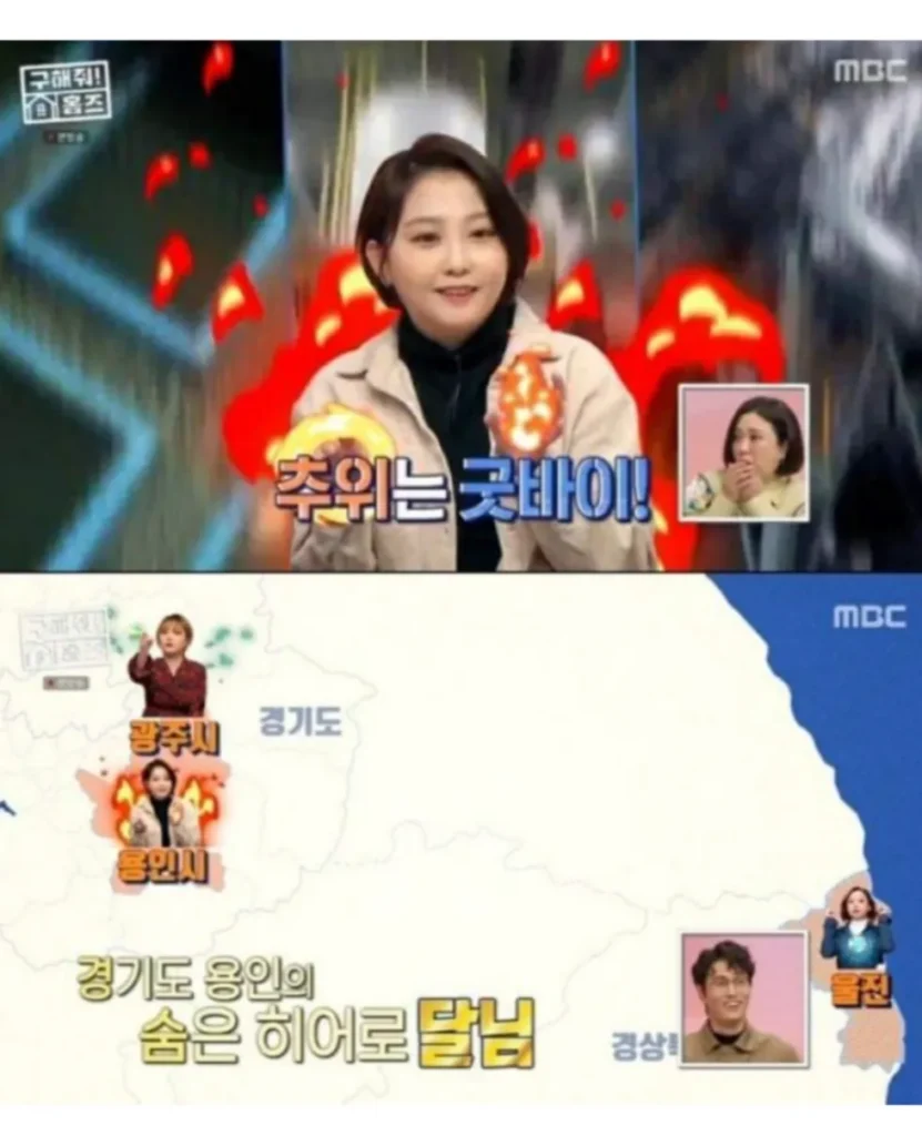 현실판 이브이 한국의 세 쌍둥이