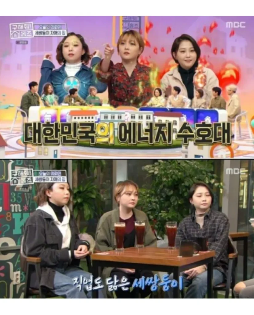 현실판 이브이 한국의 세 쌍둥이