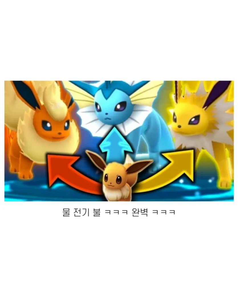 현실판 이브이 한국의 세 쌍둥이