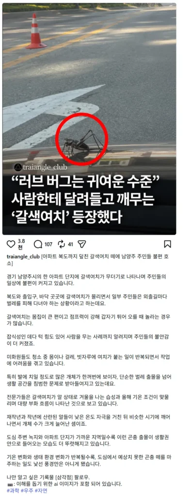 애교 수준이었던 러브버그