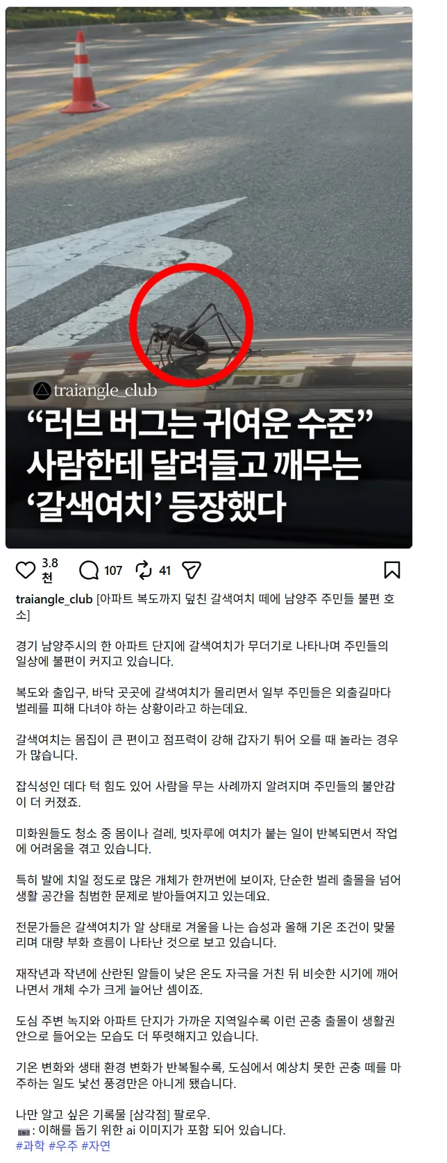 애교 수준이었던 러브버그