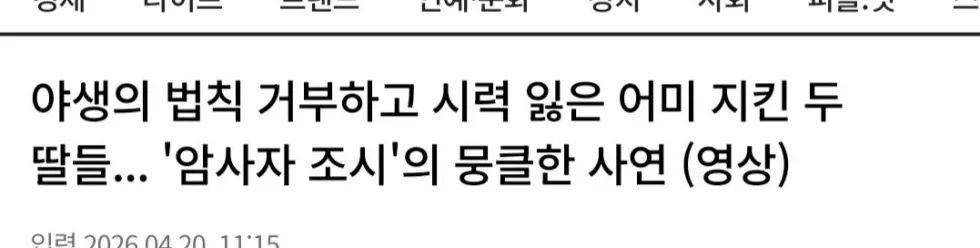 5년간 눈먼 상태로 생존한 사자의 이야기