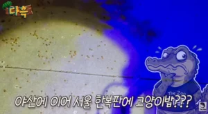 도시 벌레 증가 원인 중 하나 (약간 혐오감 주의)