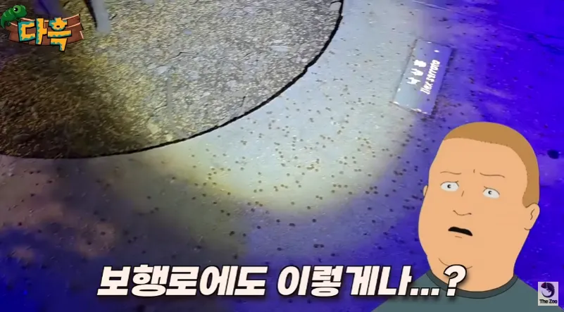 도시 벌레 증가 원인 중 하나 (약간 혐오감 주의)