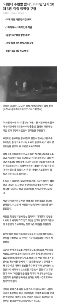 개한테 수천발 쐈다…비비탄 난사 20대 3명, 검찰 징역형 구형.news