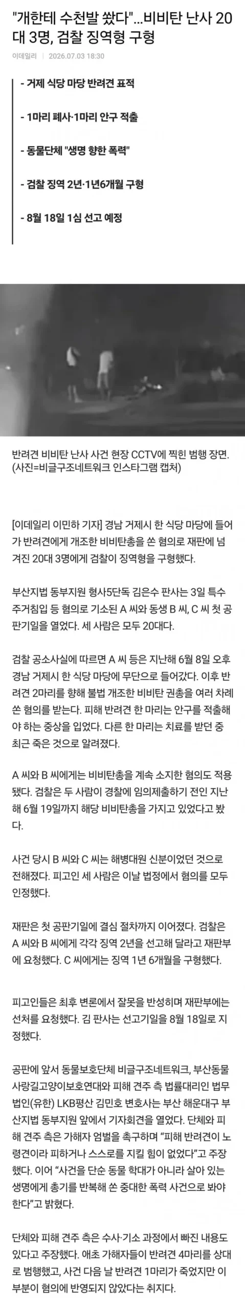 개한테 수천발 쐈다…비비탄 난사 20대 3명, 검찰 징역형 구형.news