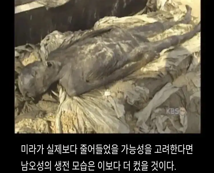 300년 전 조상 묘 파묘 후 후손들이 경악한 이유 (진실인가요?)