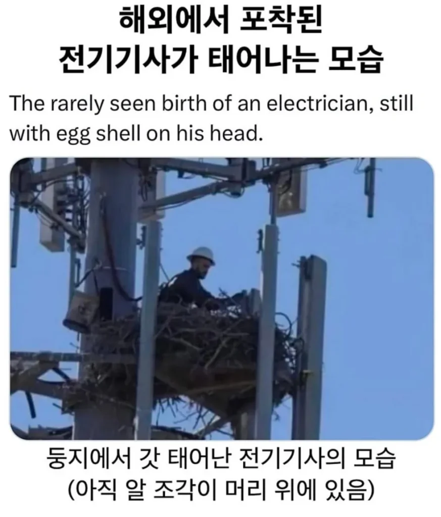 전기 기사가 탄생하는 순간을 해외에서 포착했습니다.